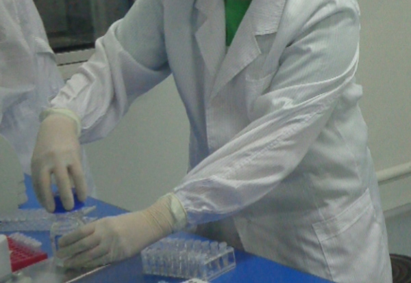 江西亲子鉴定机构在哪儿,