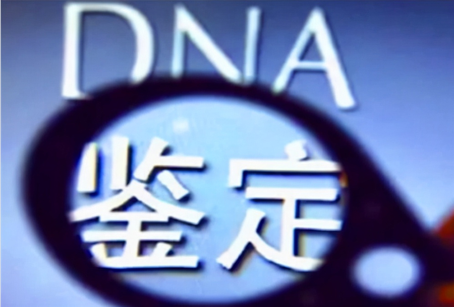 江西到哪里做私密亲子鉴定,江西隐私亲子鉴定多少钱一次 江西到哪里做私密亲子鉴定,江西隐私亲子鉴定多少钱一次