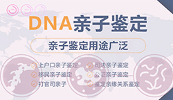 江西专业的司法DNA亲子鉴定机构去哪查找【免费咨询】 江西专业的司法DNA亲子鉴定机构去哪查找【免费咨询】